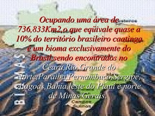 Ocupando uma área de 736,833Km2,o que eqüivale quase a 10% do território brasileiro caatinga é um bioma exclusivamente do Brasil,sendo encontrados no  Ceará,Rio Grande do Norte,Paraiba,Pernambuco,Sergipe,Alagoas,Bahia,leste do Piauí e norte de Minas Gerais.   