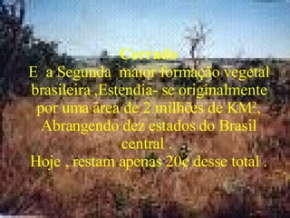Cerrado E  a Segunda  maior formação vegetal brasileira ,Estendia- se originalmente por uma área de 2 milhões de KM², Abrangendo dez estados do Brasil central .  Hoje , restam apenas 20¢ desse total . 