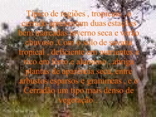 Típico de regiões , tropicais , o cerrado apresentam duas estações bem marcadas inverno seca e verão chuvoso .Com o solo de savana tropical , deficiente em nutrientes e rico em ferro e alumínio , abriga plantas de aparência seca, entre arbustos esparsos e gramineas , e o Cerradão um tipo mais denso de vegetação .   