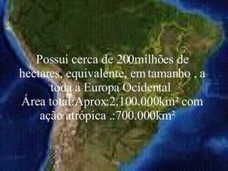 Possui cerca de 200milhões de hectares, equivalente, em tamanho , a toda a Europa Ocidental  Área total:Aprox:2.100.000km² com ação atrópica .:700.000km²  