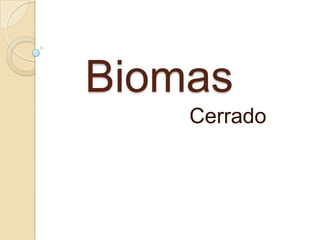 Biomas
Cerrado
 