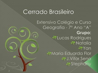 Cerrado Brasileiro
 
