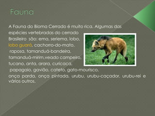 A Fauna do Bioma Cerrado é muito rica. Algumas das
espécies vertebradas do cerrado
Brasileiro são: ema, seriema, lobo,
lobo guará, cachorro-do-mato,
raposa, tamanduá-bandeira,
tamanduá-mirim,veado campeiro,
tucano, anta, arara, curicaca,
papagaio, gavião, cateto, gato-mourisco,
onça parda, onça pintada, urubu, urubu-caçador, urubu-rei e
vários outros.
 
