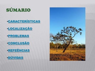 SÚMARIO

•CARACTERÍSTICAS

•LOCALIZAÇÃO

•PROBLEMAS

•CONCLUSÃO

•REFEÊNCIAS

•DÚVIDAS
 