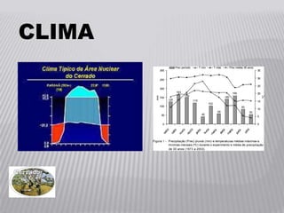 CLIMA
 