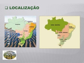  LOCALIZAÇÃO
 
