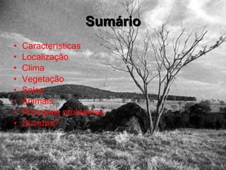 Sumário Características Localização Clima Vegetação Solos Animais Principais problemas Duvidas? 