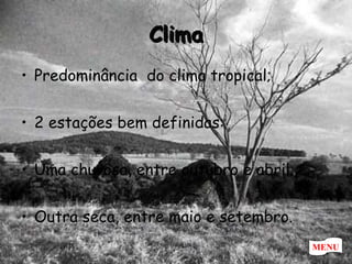 Clima Predominância  do clima tropical; 2 estações bem definidas:  Uma chuvosa, entre outubro e abril; Outra seca, entre maio e setembro.  MENU 