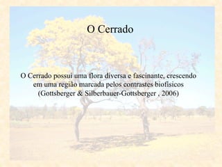 O Cerrado possui uma flora diversa e fascinante, crescendo
em uma região marcada pelos contrastes biofísicos
(Gottsberger & Silberbauer-Gottsberger , 2006)
O Cerrado
 