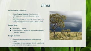 Cerrado trabalho biomas brasileiros.pptx