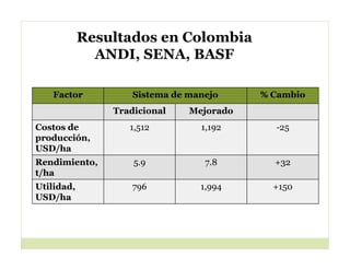 Cerrando brecha tecnologica_cultivos_alimentos