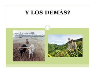 Cerrando brecha tecnologica_cultivos_alimentos