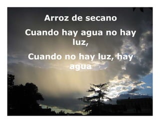 Cerrando brecha tecnologica_cultivos_alimentos