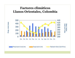 Cerrando brecha tecnologica_cultivos_alimentos