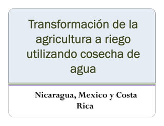 Cerrando brecha tecnologica_cultivos_alimentos