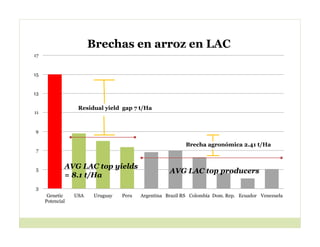 Cerrando brecha tecnologica_cultivos_alimentos