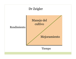 Cerrando brecha tecnologica_cultivos_alimentos