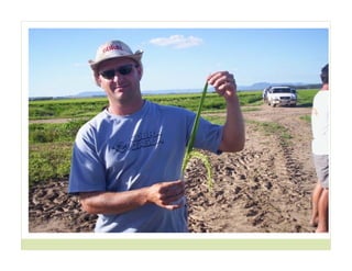 Cerrando brecha tecnologica_cultivos_alimentos