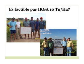 Cerrando brecha tecnologica_cultivos_alimentos