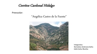 Cerritos Cardonal Hidalgo
Preescolar:
“Angélica Castro de la Fuente”
Integrantes:
Remedios Ambrosio Doñu
Edith Doñu Ñonthe
 