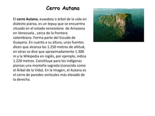 El cerro Autana, euwabey o árbol de la vida en
dialecto piaroa, es un tepuy que se encuentra
situado en el estado venezolano de Amazona
en Venezuela , cerca de la frontera
colombiana. Forma parte del Escudo de
Guayana. En cuanto a su altura, unas fuentes
dicen que alcanza los 1.250 metros de altitud,
en otras se dice que aproximadamente 1.300
m y la Wikipedia en inglés, por ejemplo, indica
1.220 metros. Constituye para los indígenas
piaroas una montaña sagrada (conocida como
el Árbol de la Vida). En la imagen, el Autana es
el cerro de paredes verticales más elevado de
la derecha.
Cerro Autana
 