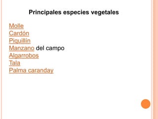 Principales especies vegetales

Molle
Cardón
Piquillín
Manzano del campo
Algarrobos
Tala
Palma caranday
 