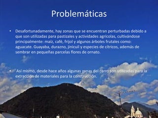 ProblemáticasDesafortunadamente, hay zonas que se encuentran perturbadas debido a que son utilizadas para pastizales y actividades agrícolas, cultivándose principalmente: maíz, café, frijol y algunos árboles frutales como: aguacate. Guayaba, durazno, jinicuil y especies de cítricos, además de sembrar en pequeñas parcelas flores de ornato. Así mismo, desde hace años algunas zonas del cerro son utilizadas para la extracción de materiales para la construcción.