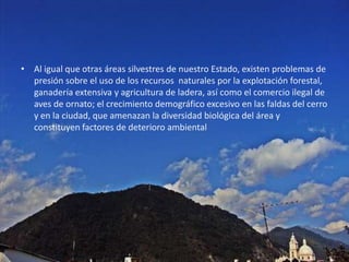 Al igual que otras áreas silvestres de nuestro Estado, existen problemas de presión sobre el uso de los recursos  naturales por la explotación forestal, ganadería extensiva y agricultura de ladera, así como el comercio ilegal de aves de ornato; el crecimiento demográfico excesivo en las faldas del cerro y en la ciudad, que amenazan la diversidad biológica del área y constituyen factores de deterioro ambiental