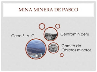 MINA MINERA DE PASCO 
Cerro S. A. C. 
Centromin peru 
Comité de 
Obreros mineros 
 