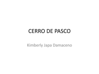 CERRO DE PASCO 
Kimberly Japa Damaceno 
 