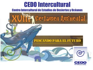 CEDO Intercultural
Centro Intercultural de Estudios de Desiertos y Océanos
 