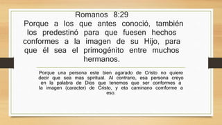 Romanos 8:29 
Porque a los que antes conoció, también los 
predestinó para que fuesen hechos conformes a 
la imagen de su Hijo, para que él sea el 
primogénito entre muchos hermanos. 
Porque una persona este bien agarado de Cristo no quiere decir que 
sea mas spiritual. Al contrario, esa persona creyo en la palabra de 
Dios que tenemos que ser conformes a la imagen (caracter) de Cristo, 
y eta caminano comforme a eso. 
 