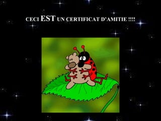 CECI EST UN CERTIFICAT D’AMITIE !!!!
 