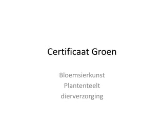 Certificaat Groen
Bloemsierkunst
Plantenteelt
dierverzorging
 
