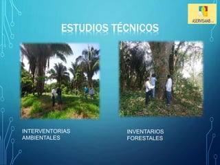 ESTUDIOS TÉCNICOS 
INTERVENTORIAS 
AMBIENTALES 
INVENTARIOS 
FORESTALES 
 