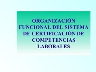 ORGANIZACIÓN
FUNCIONAL DEL SISTEMA
 DE CERTIFICACIÓN DE
    COMPETENCIAS
     LABORALES
 