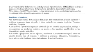 El Servicio Nacional de Sanidad Inocuidad y Calidad Agroalimentaria (SENASICA) es un órgano
desconcentrado de la Secretaría de Agricultura, Ganadería, Desarrollo Rural, Pesca y
Alimentación (SAGARPA), orientado a realizar acciones de orden sanitario para proteger los
recursos agrícolas, acuícolas, y pecuarios de plagas
Funciones y Servicios:
• En materia de Sistemas de Reducción de Riesgos de Contaminación, evaluar, reconocer y
certificar empresas, áreas integrales y áreas naturales en materia Agrícola, Pecuaria,
Acuícola y Pesquera.
•Con respecto a productos orgánicos, certificar que los sistemas de producción, manejo y
procesamiento de productos orgánicos se ajusten a los requisitos establecidos en las
disposiciones legales aplicables;
•En cuanto a plaguicidas de uso agrícola, dictaminar la efectividad biológica, emitir la
opinión técnica para el registro, y certificar a empresas fabricantes, formuladoras,
importadoras, distribuidoras, comercializadoras y de aplicación aérea.
 