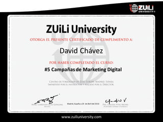 www.zuiliuniversity.com
David	Chávez
#5	Campañas	de	Marketing	Digital
Madrid,	España a	29		de	Abril	del	2016
 