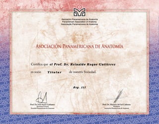 Certificado APA 111