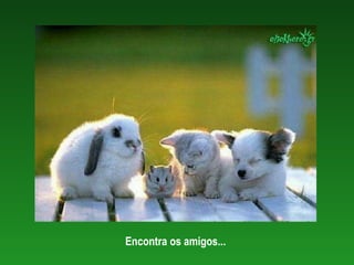 Encontra os amigos...   