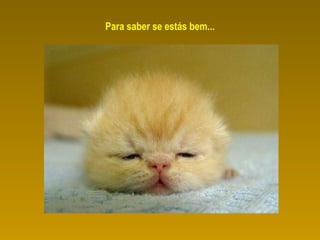 Para saber se estás bem... 