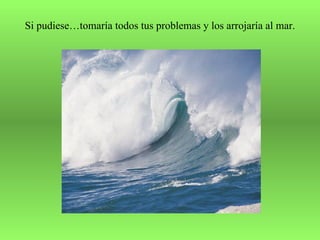 Si pudiese…tomaría todos tus problemas y los arrojaría al mar.
 