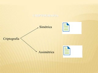 CRIPTOGRAFIA


                  Simétrica


Criptografia



                 Assimétrica
 