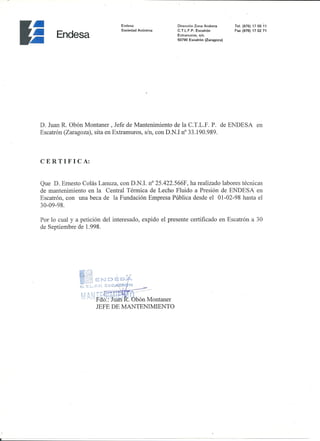 Job Certificate at Endesa