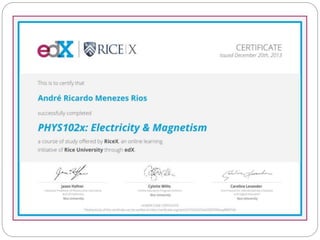 Profissional Ricardo Rios