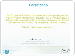 Profissional Ricardo Rios