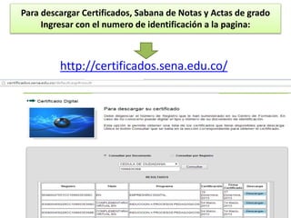 Para descargar Certificados, Sabana de Notas y Actas de grado
Ingresar con el numero de identificación a la pagina:

http://certificados.sena.edu.co/

 