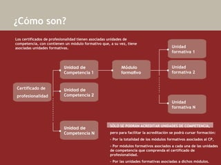   ¿Cómo son? SÓLO SE PODRÁN ACREDITAR UNIDADES DE COMPETENCIA,  pero para facilitar la acreditación se podrá cursar formación: - Por la totalidad de los módulos formativos asociados al CP,  - Por módulos formativos asociados a cada una de las unidades de competencia que comprenda el certificado de profesionalidad.  - Por las unidades formativas asociadas a dichos módulos.   Los certificados de profesionalidad tienen asociadas unidades de competencia, con contienen un módulo formativo que, a su vez, tiene asociadas unidades formativas. Certificado de profesionalidad  Unidad de Competencia  1 Unidad formativa 1  Unidad de Competencia  2 Unidad de Competencia  N Módulo formativo Unidad formativa 2  Unidad formativa N  