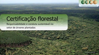 1
BSC/Gleison Rezende
Certificação florestal
Responsabilidade e conduta sustentável no
setor de árvores plantadas
 