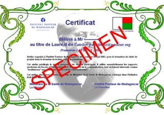 Certificat 2003
